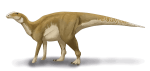 Hadrosaurus Drawing
