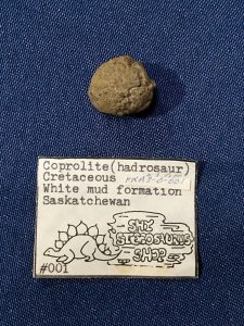 Hadraosaurus Coprolite Fossil Poop
